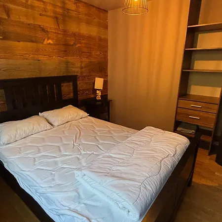 Moderne A La Chapelle-d'abondance, 1 Chambre, 4 Pers, Parking, Non Fumeur - Fr-1-692-77 Apartment