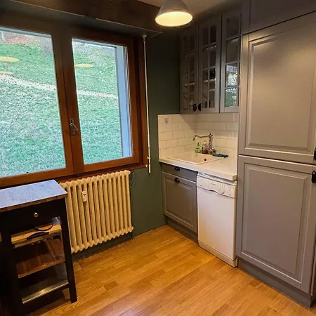 Avec Parking - 37m² - Fr-1-692-77 * Abondance